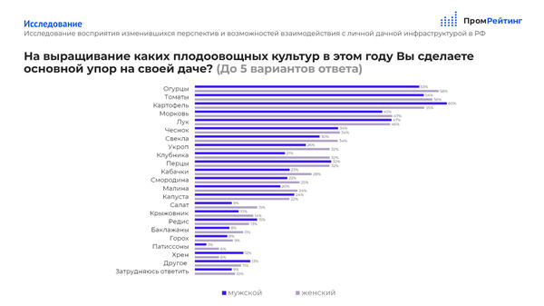 Топ-5 овощных культур в сезоне 2022: дачники сделали неожиданный выбор