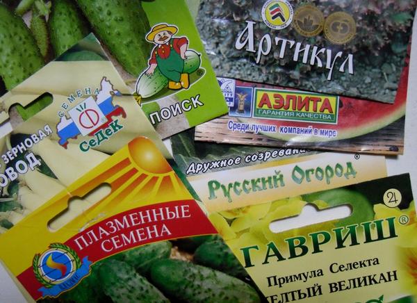 Семена: 10 самых популярных производителей семян