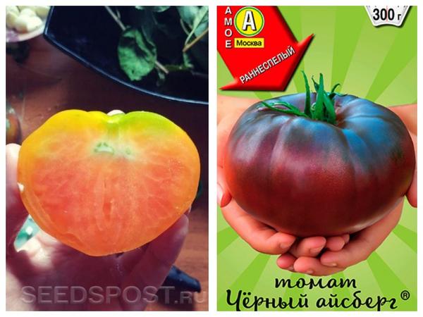 30 лучших овощных новинок 2021 по версии покупателей интернет-магазина Seedspost