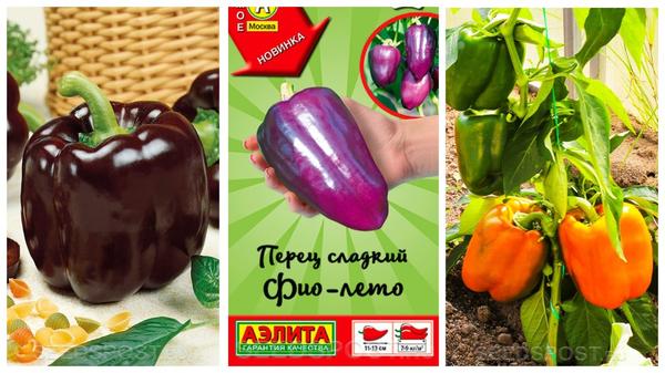 30 лучших овощных новинок 2021 по версии покупателей интернет-магазина Seedspost
