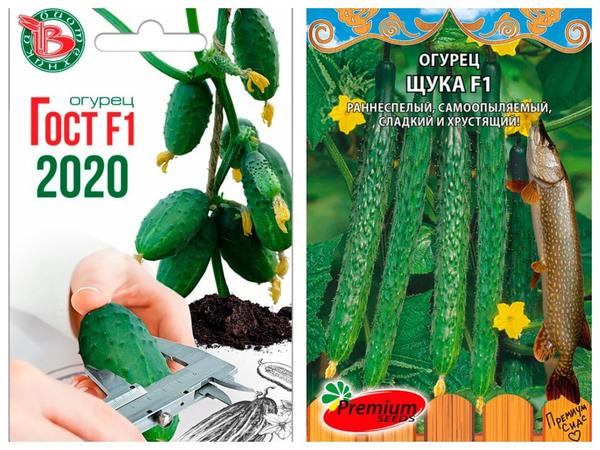 30 лучших овощных новинок 2021 по версии покупателей интернет-магазина Seedspost