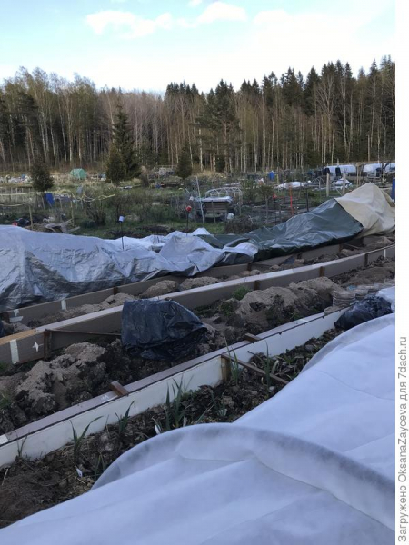 Парник "Подснежник Плюс" 8 метров от БашАгроПласт. Плюсы и минусы использования