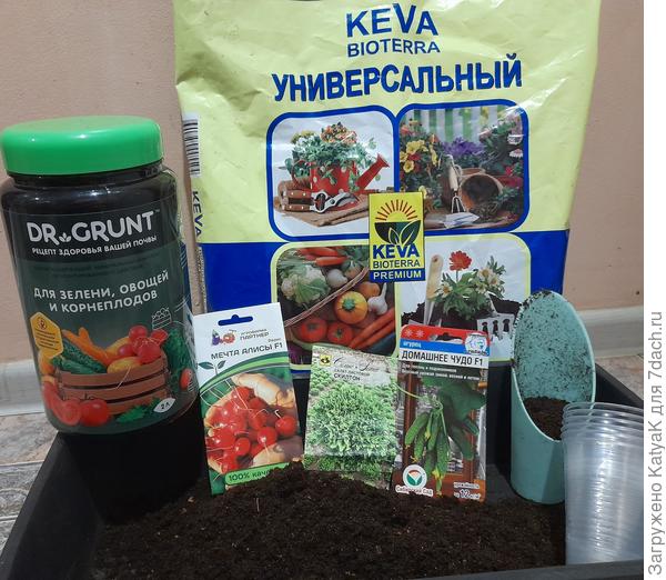 Домашний огород с минеральным комплексом от Dr.Grunt: почувствуйте разницу