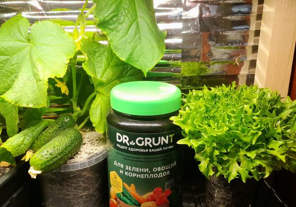 Домашний огород с минеральным комплексом от Dr.Grunt: почувствуйте разницу