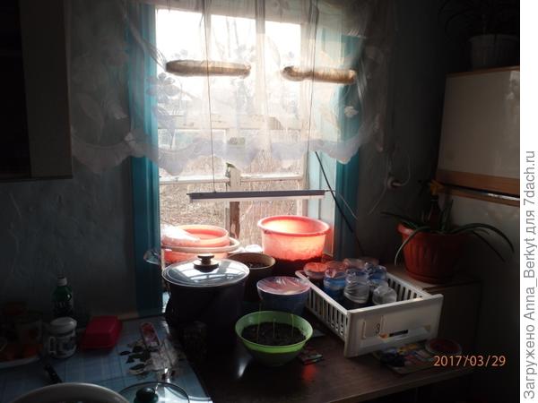 Преображение продолжается