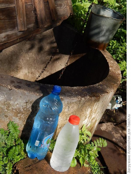 Поливайте огород: он ведь тоже воду пьет!