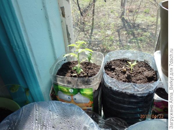 Преображение продолжается