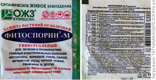 Защита и лечение плодовых деревьев от заболеваний. Ржавчина на яблоне